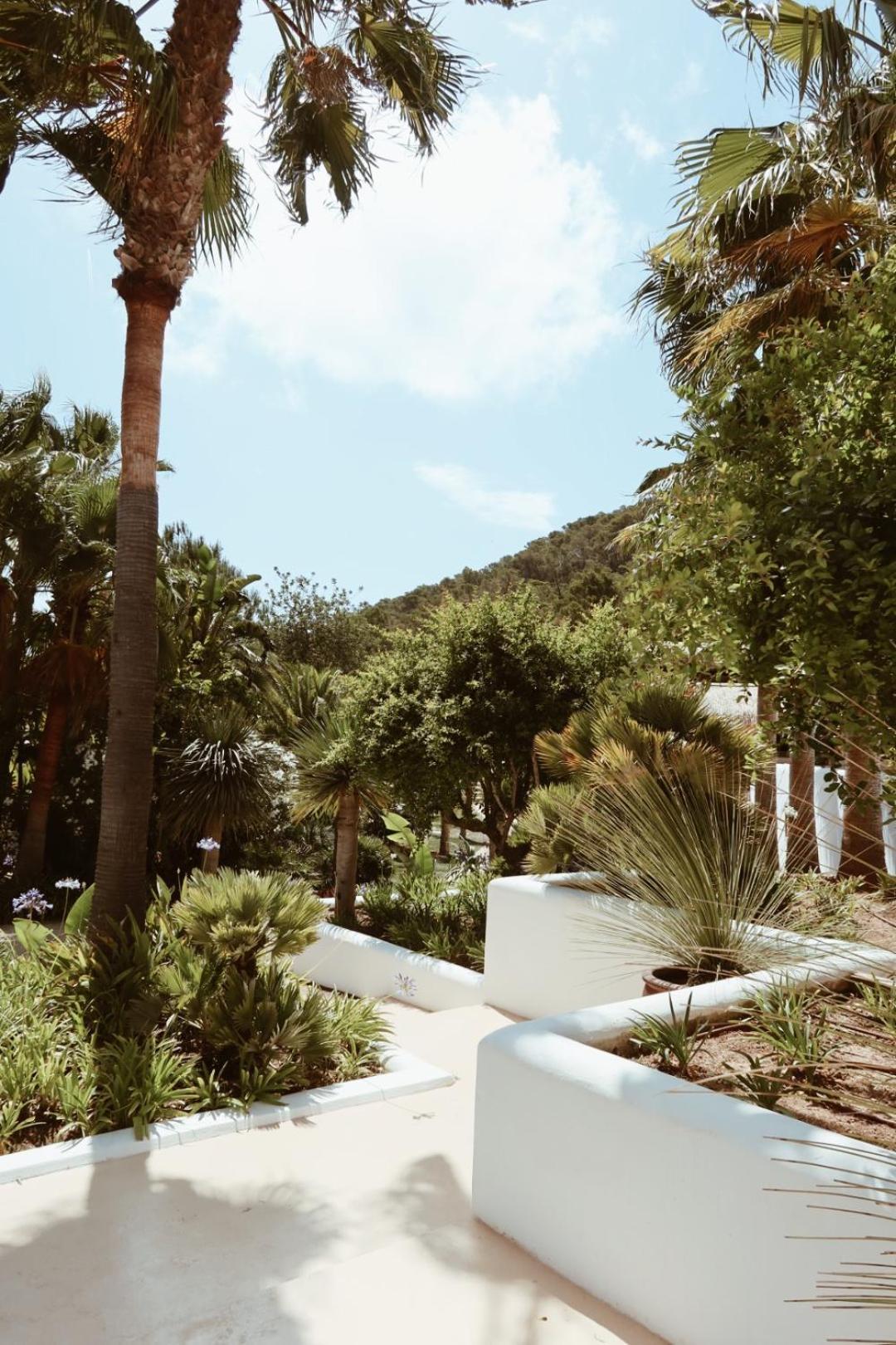 Hotel Pure House Ibiza Sant Jordi de ses Salines Zewnętrze zdjęcie