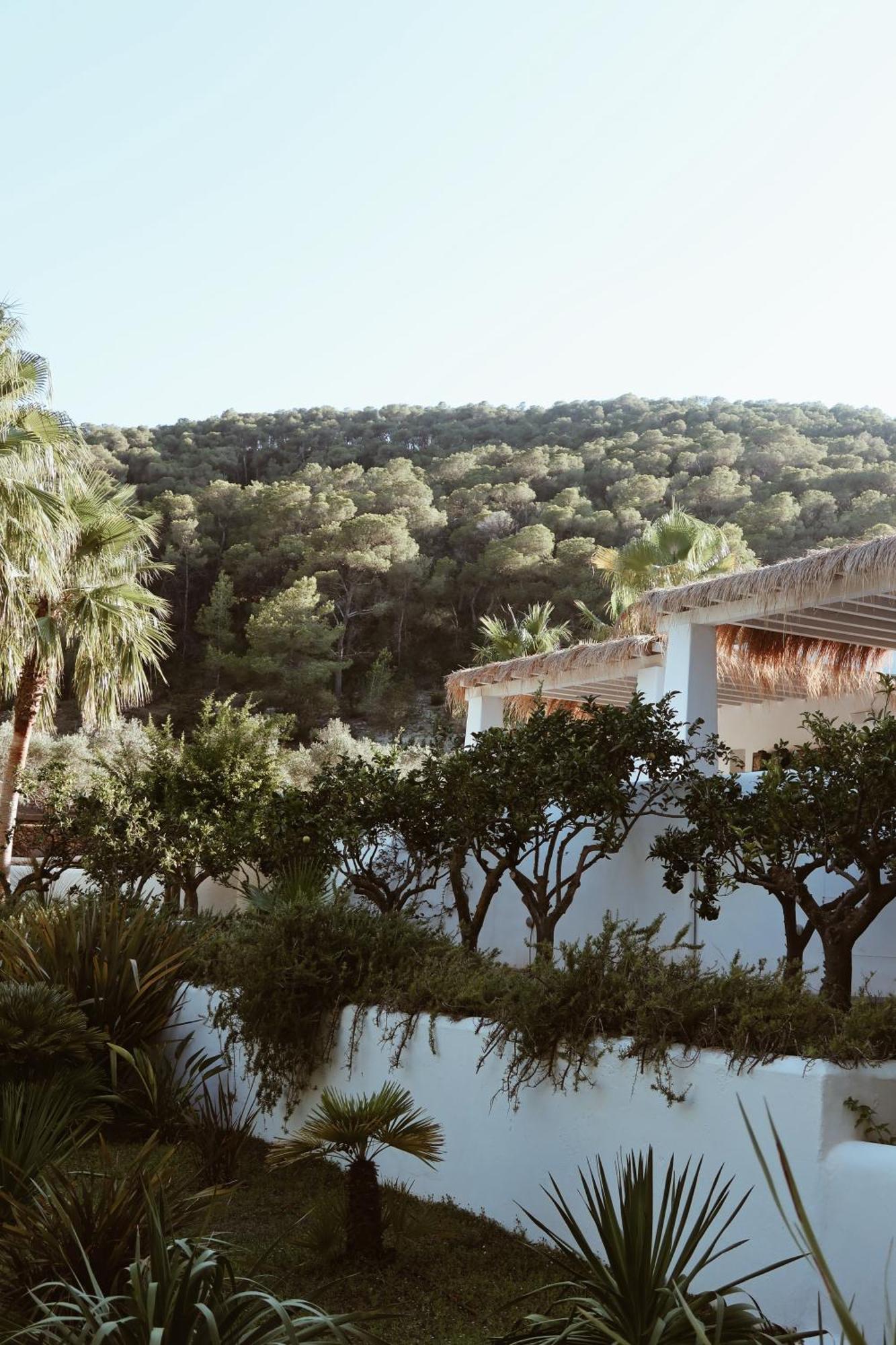 Hotel Pure House Ibiza Sant Jordi de ses Salines Zewnętrze zdjęcie