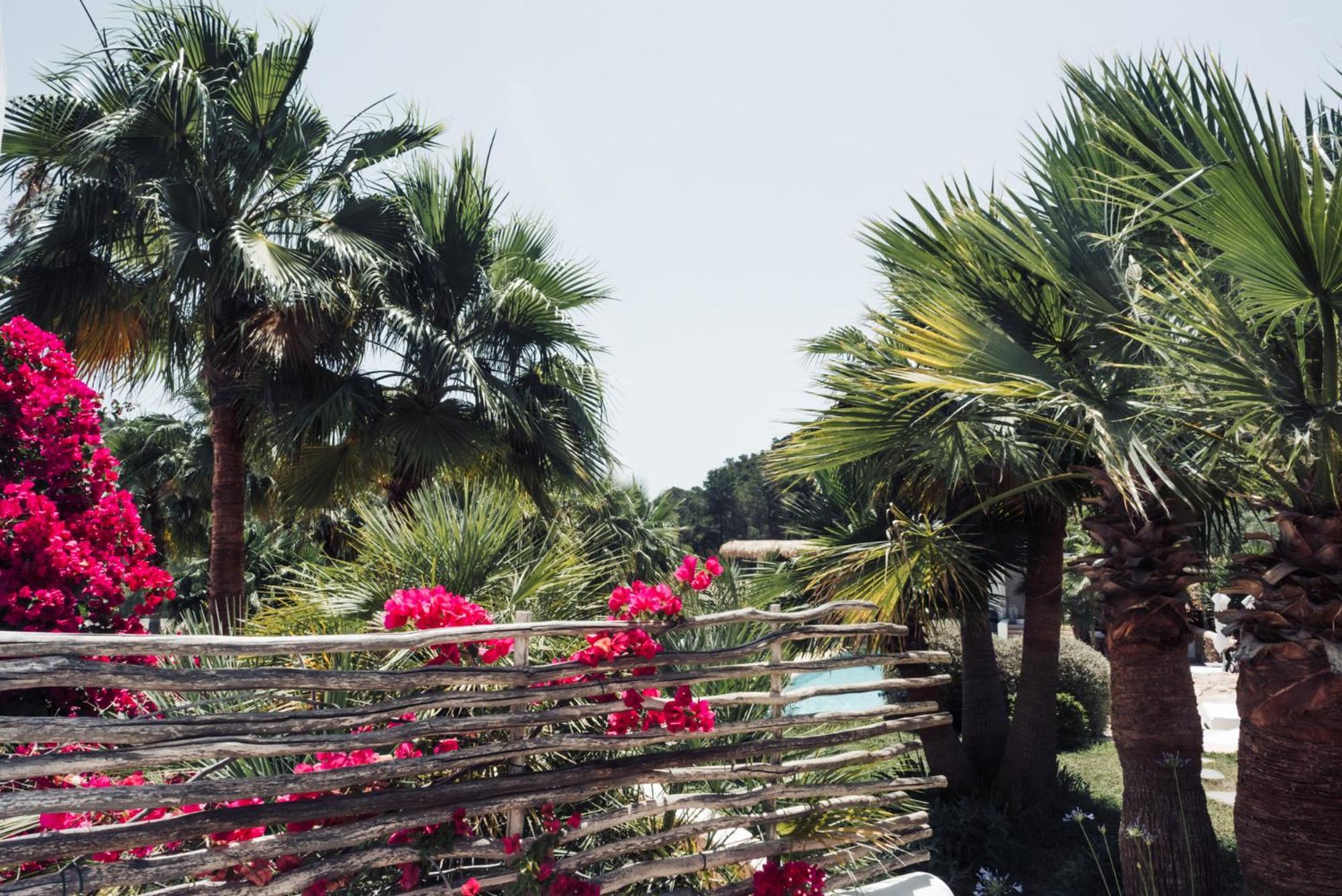 Hotel Pure House Ibiza Sant Jordi de ses Salines Zewnętrze zdjęcie