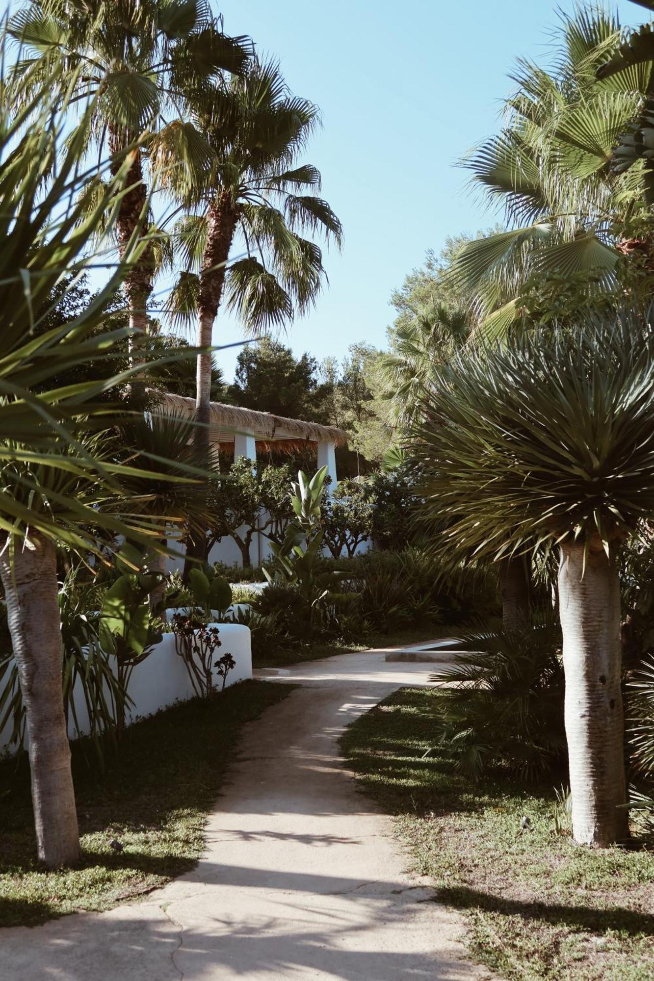 Hotel Pure House Ibiza Sant Jordi de ses Salines Zewnętrze zdjęcie